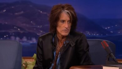 Joe Perry