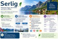 Serlig meaning, origin and modern online uses