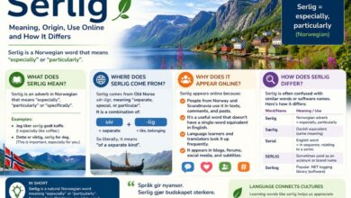 Serlig meaning, origin and modern online uses